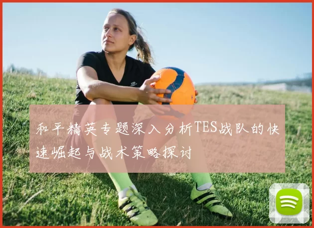 和平精英专题深入分析TES战队的快速崛起与战术策略探讨