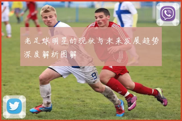 老足球明星的现状与未来发展趋势深度解析图解