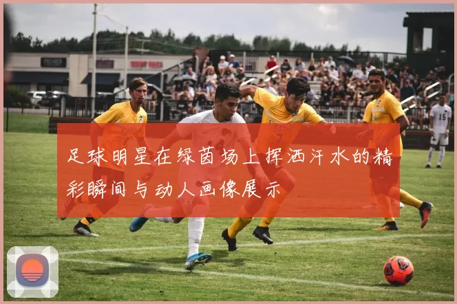 足球明星在绿茵场上挥洒汗水的精彩瞬间与动人画像展示