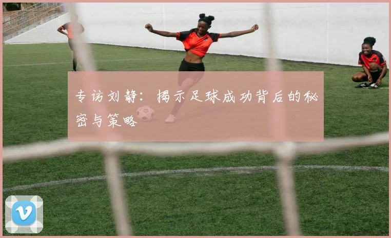 专访刘静：揭示足球成功背后的秘密与策略