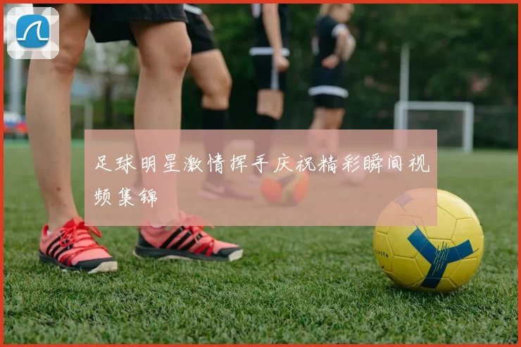 足球明星激情挥手庆祝精彩瞬间视频集锦