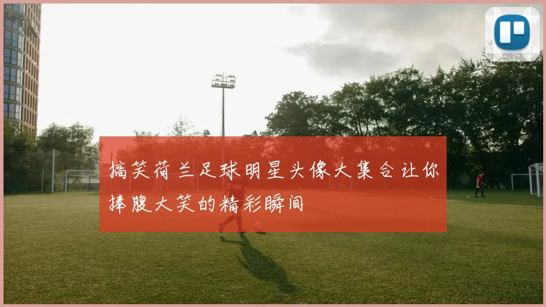 搞笑荷兰足球明星头像大集合让你捧腹大笑的精彩瞬间
