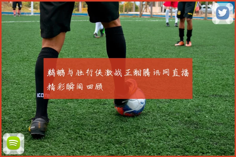 鹈鹕与独行侠激战正酣腾讯网直播精彩瞬间回顾