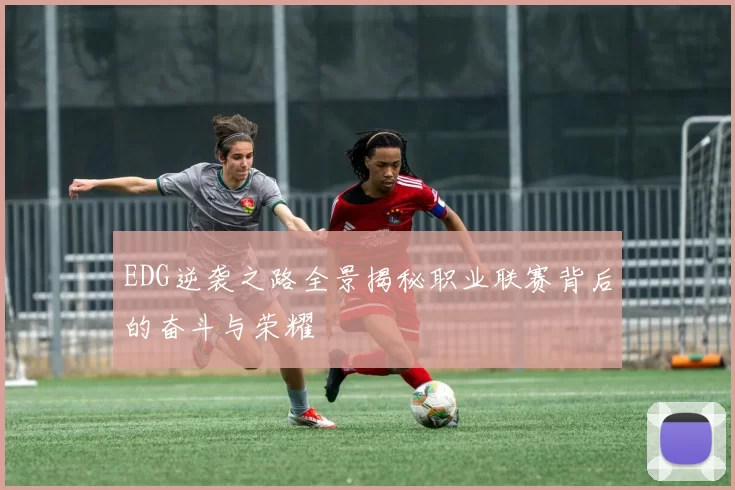 EDG逆袭之路全景揭秘职业联赛背后的奋斗与荣耀