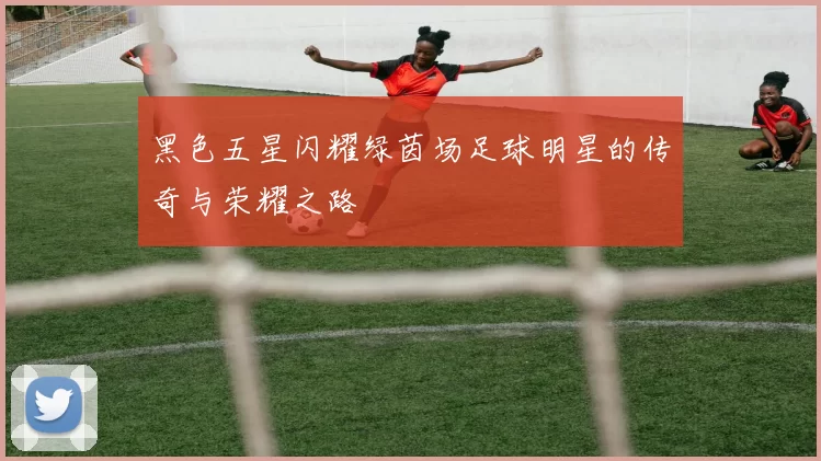 黑色五星闪耀绿茵场足球明星的传奇与荣耀之路