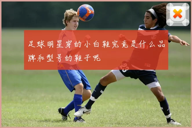 足球明星穿的小白鞋究竟是什么品牌和型号的鞋子呢