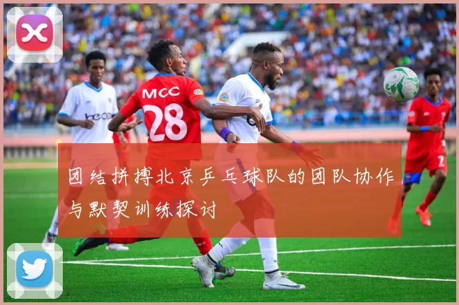 团结拼搏北京乒乓球队的团队协作与默契训练探讨