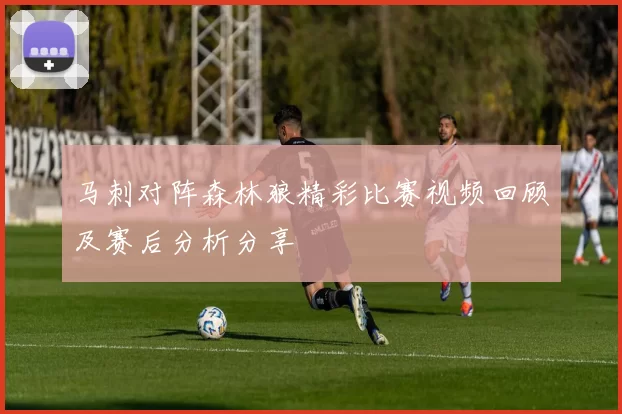 马刺对阵森林狼精彩比赛视频回顾及赛后分析分享
