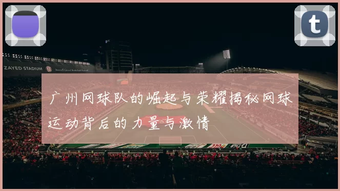 广州网球队的崛起与荣耀揭秘网球运动背后的力量与激情