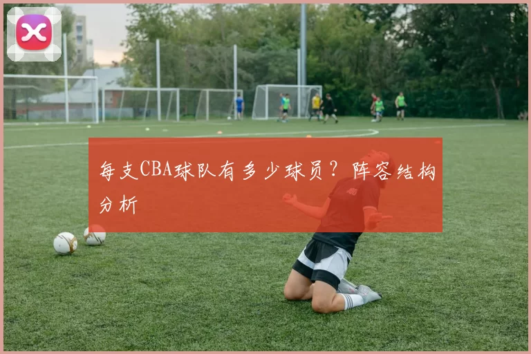 每支CBA球队有多少球员？阵容结构分析