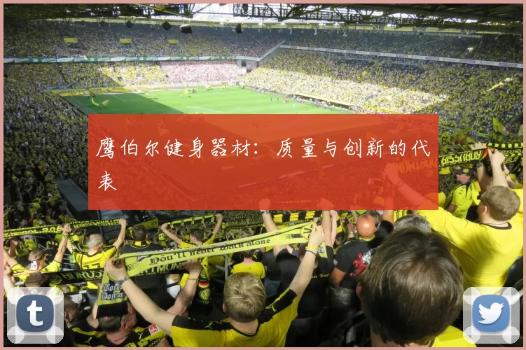 鹰伯尔健身器材：质量与创新的代表